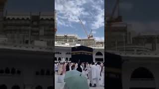 Taslim Arif ki kavvali vah Madina kahiye [upl. by Andromache910]