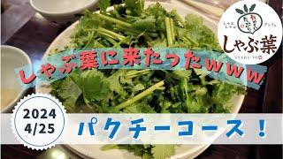 【パクチーコース】しゃぶ葉に来たったｗｗｗ2024年4月25日しゃぶ葉牛肉豚肉食べ放題しゃぶしゃぶ名取さなしゃぶ葉ニキ牛みすじイベリコ豚VIPおつしゃぶパクチーランチ [upl. by Bradstreet378]