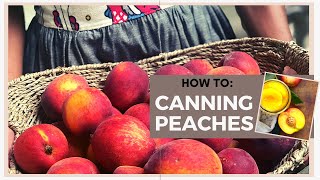 HOW TO CAN PEACHES at HOME  No Waste  Canning Peaches without wasting anything [upl. by Simonsen]