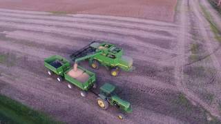 John Deere 9500 Harvesting Soybeans DJI Phantom 4 [upl. by Lenette929]