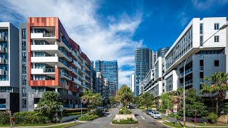 BILLBERGIA BENNELONG COVE [upl. by Amerigo]