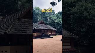 Iringole kavu 🍃🍂 iringolekavu temple perumbavoor ernakulam subscribe shorts travel hindu [upl. by Eceinal]