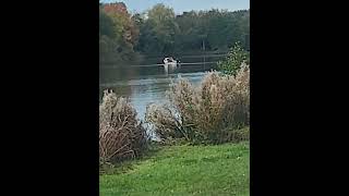 Netting at Baden Hall fishery Middle Pool [upl. by Roberto]