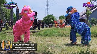 Atraksi Barongsai Bogeng Cees🐉 Burok Keyla Musik  Live DsDkhJati Penanggapan ❗ [upl. by Adnuhsor]