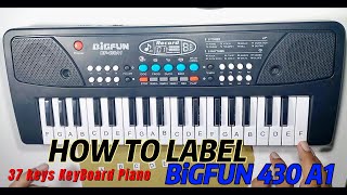 How to write  label keys on BIGFUN BF430A1 37 keys keyboard piano [upl. by Ahsha606]