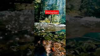 meherban tumie meherban  gojol  short video  📸 Islamic short [upl. by Cinderella538]