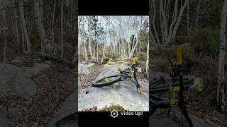 Une petite balade à VTT ludique de plus au guidon du tout rigide 😜 vtt mtb iphonevideo [upl. by Ailekat]