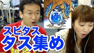 【モンスト】スピタス集め！「激動たる蒼獣」ドロップ率2倍を狙おう！ [upl. by Ayekahs]