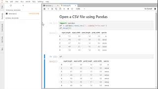 JupyterLab Running Shut Down A Kernel [upl. by Ytte843]