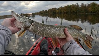 Even More Pike Catches  Pike Fishing Compilation 4 [upl. by Einnaej]