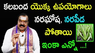 కలబంద యొక్క ఉపయోగాలు  Amazing Benefits Of Aloe Vera  Kalabanda Uses  Dr Machiraju Venugopal [upl. by Richmound502]