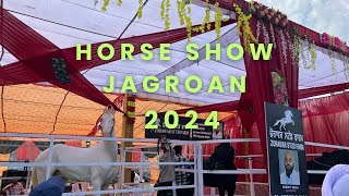 ਘੋੜਿਆ ਦੀ ਮੰਡੀ 5 ਦਿਨhorsestudfarm new kissanmazdoorektazindabad Dhanoafarm1313 [upl. by Hashum]