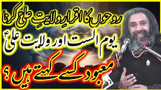 Mabood Kisy Kehty han Ruhon Ka Iqrar e Wilayat e Ali AS Krna Allama Moosa Haider Zaidi\Dar E Syeda [upl. by Nosirb190]