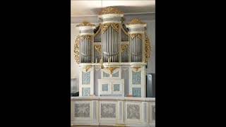 Famous Toccata D minor by J S Bach on 100years old organ [upl. by Abeu]