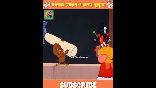 মোরগ আর কুকুরের গল্প  Bangla cartoon video কটন funny comedy cartoon viral reels [upl. by Honoria9]