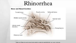 Rhinorrhea [upl. by Ragde138]