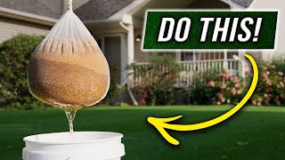 The FASTEST way to Grow Grass Seed [upl. by Enela78]