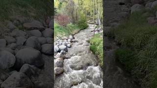 Snowmass Colorado in the Spring shorts [upl. by Nyladgam]