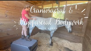 Equine Craniosacral Therapy amp Myofascial Release  Stephanie Chan [upl. by Iror]