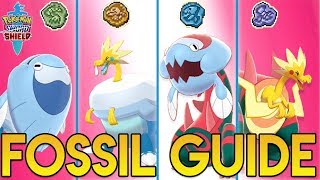 How to get ALL FOSSIL Pokemon in Sword and Shield  Fossil Pokemon Guide [upl. by Eisned]