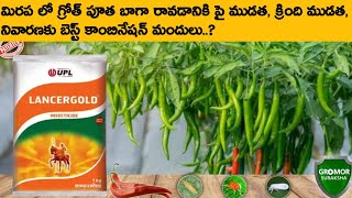 Lancer gold  upl Lancergold telugu  Lancer gold insecticide uses  UPL Lancer gold imidacloprid [upl. by Arianne]