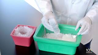 Visium Tissue Preparation Protocol  Embedding Frozen Tissue in OCT [upl. by Leblanc]