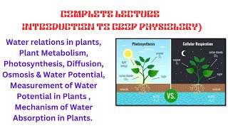 Crop Physiology Water relations Plant Metabolism Photosynthesis  diffusion Osmosis [upl. by Boorman]