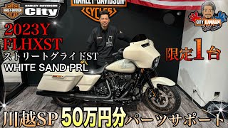 【新車チャンス！】パーツMAX50万円分サービス！ FLHXST「ストリートグライドST」が限定お買得！！ [upl. by Ahsoym548]