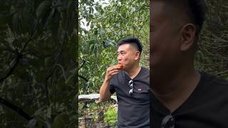 quanglinhvlogs teamchauphi funny xuhuong tiennguyen [upl. by Leveroni]