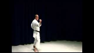 Shotokan Karate Kata Brown Belt Kata [upl. by Ah325]