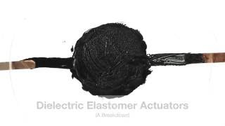 The Basics of Dielectric Elastomers [upl. by Evey]