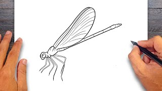 How to draw Damselfly  Insect Drawing [upl. by Lisabeth383]