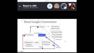 Basal Ganglia Parkinsons Disease amp Drugs [upl. by Pardoes]