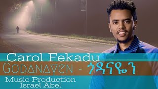 Godanayen  ጎዳናዬን Carol Fekadu Amharic Protestant Mezmur  With Lyric [upl. by Woehick]