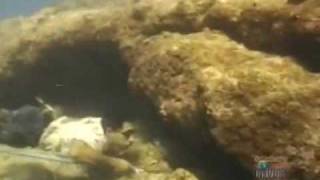 Savaii Western Samoa ray Mears S1E4 part 2 [upl. by Assile]