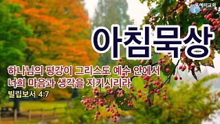 아침묵상 2024년 11월 15일금 2024 추수감사절 11월 17일 모든 지각에 뛰어나신 하나님의 평강이 그리스도 예수 안에서 너희 마음과 생각을 지키시리라빌47 [upl. by Eta]