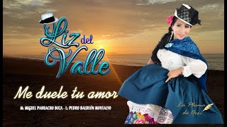 ME DUELE TU AMOR  Liz del Valle [upl. by Belloir]