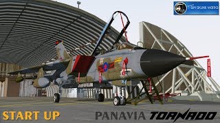 Panavia Tornado GR1 startup SSW P3Dv41 [upl. by Ysor790]