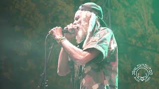 The Congos au Kilowatt Vitry sur Seine 1572023 [upl. by Krause]