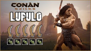 Conan Exiles  🍺 LUPULO 🍺  Cómo HACER CERVEZA SUAVE en el BARRIL DE FERMENTACIÓN 2 [upl. by Higgs232]