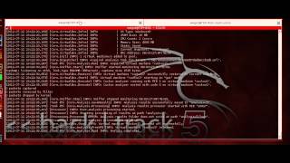 Cuckoo Sandbox in Backtrack Linux [upl. by Jacqueline672]