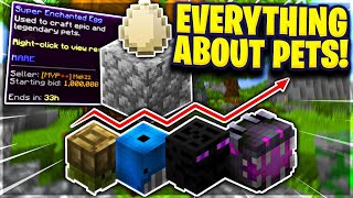 Everything About Pets Hypixel Skyblock [upl. by Melloney649]