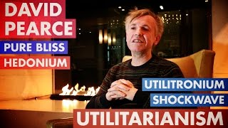 What is Utilitarianism David Pearce Explains [upl. by Coretta476]