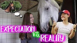 Expectation VS Reality Een eigen paard kopen  met felinehoi [upl. by Diba]