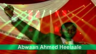 GABAYGII CAYNBA CAYN EE ABWAAN AHMED SHEEKH CALI HEELAALE [upl. by Ivers]