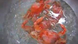 How to Boil Blue Crabs [upl. by Erda647]