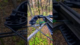 Killer Instinct Crossbow from Cabela’s hunting cabelas [upl. by Wasson]