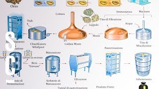 Gli ingredienti e la produzione della birra 🍺 ASSOBIRRA [upl. by Jeremy]