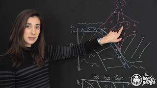 Analyse au MO de lames minces de roches  SVT  Les Bons Profs [upl. by Nakah]