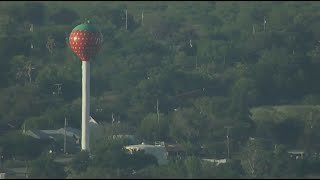 POTEET STRAWBERRY FESTIVAL [upl. by Ennovahc]